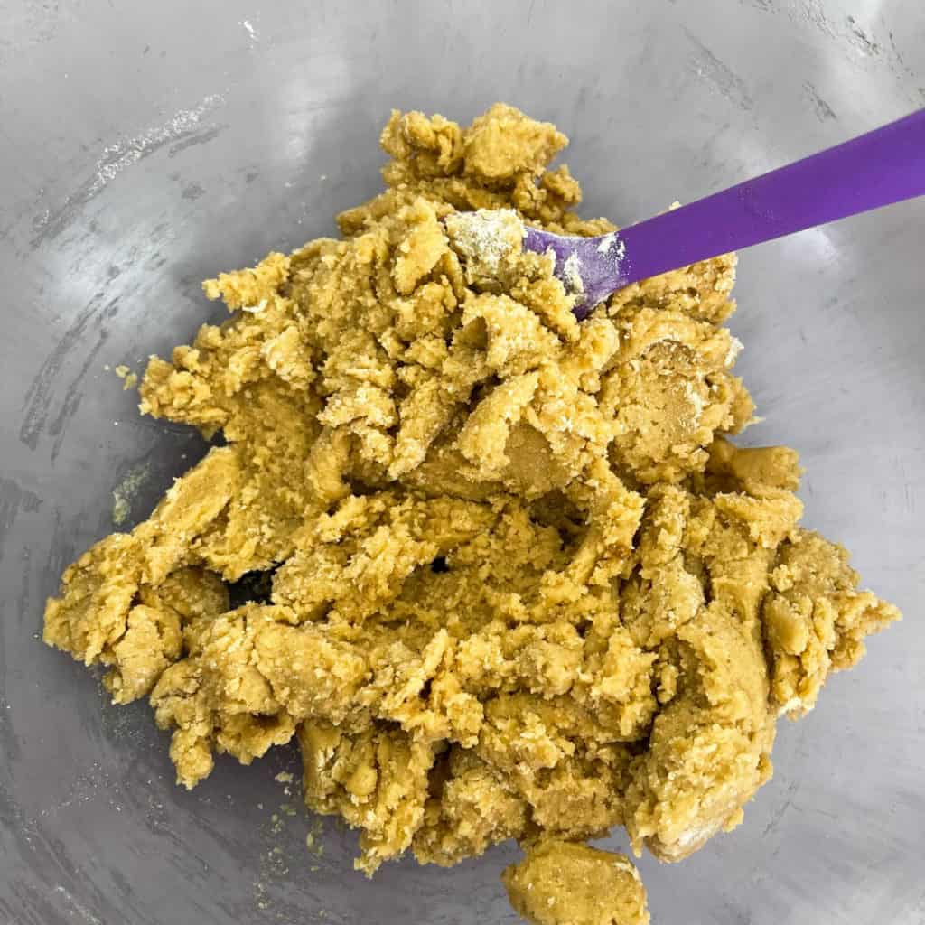 Finished cookie dough.