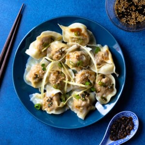 Pork wontons on a plate with sauce.
