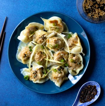 Best Homemade Pork Wontons with Soy Sesame Dipping Sauce