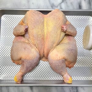 Sprinkling garlic powder all over the chicken.