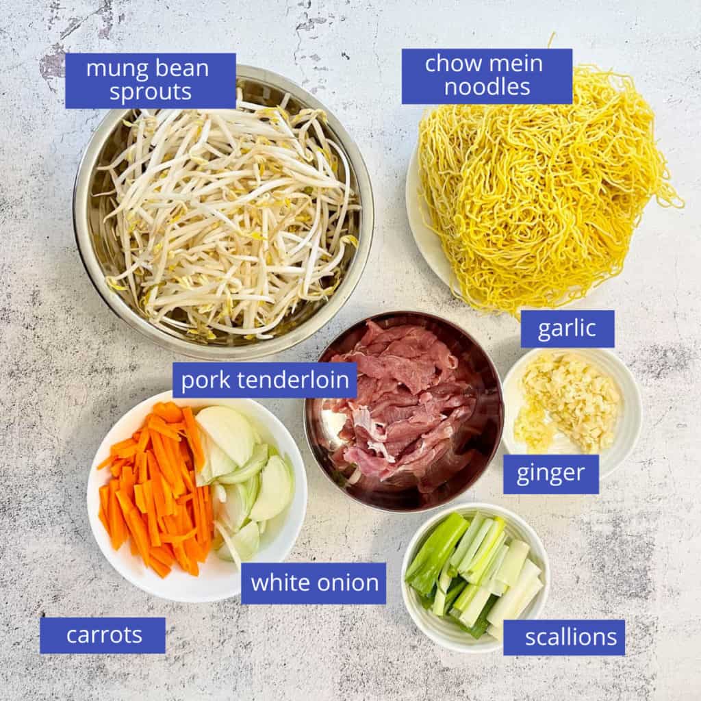 Pork chow mein ingredients round up.