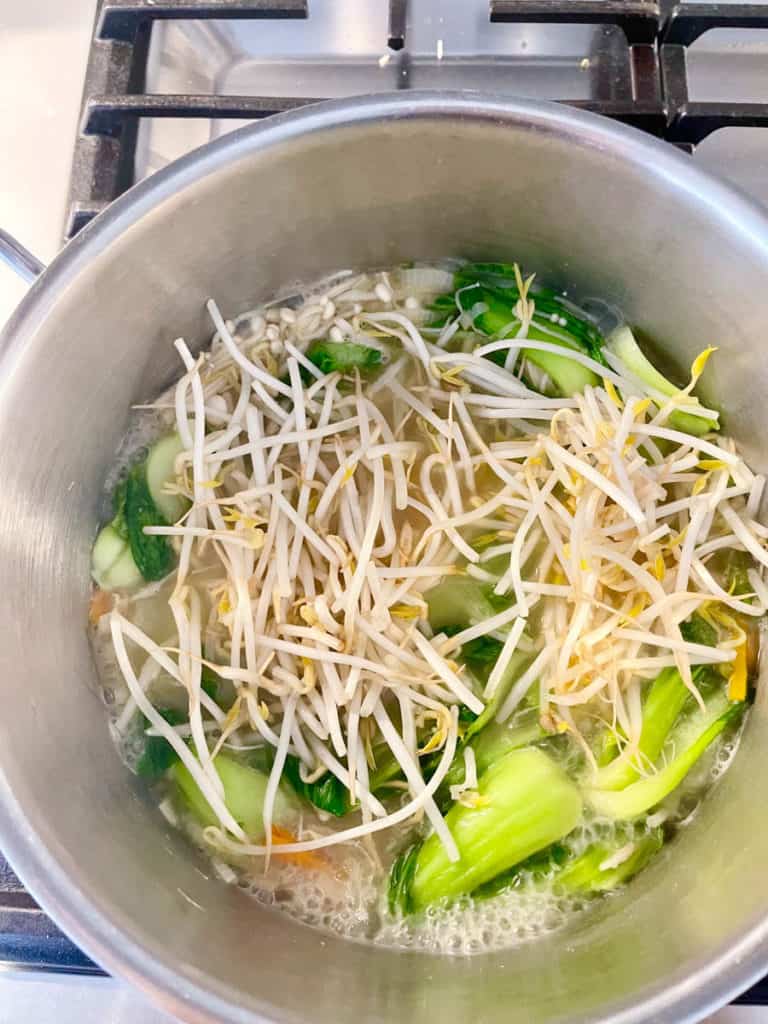 Bean sprouts added to broth in a pot.